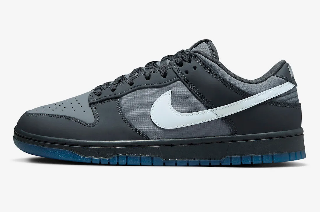 Nike SB Dunk Low Anthracite Pure Platinum Cool Grey FV0384-001