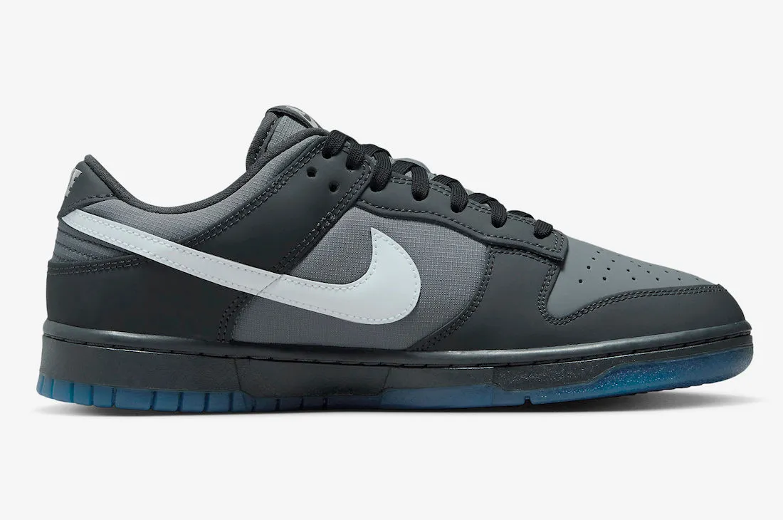 Nike SB Dunk Low Anthracite Pure Platinum Cool Grey FV0384-001