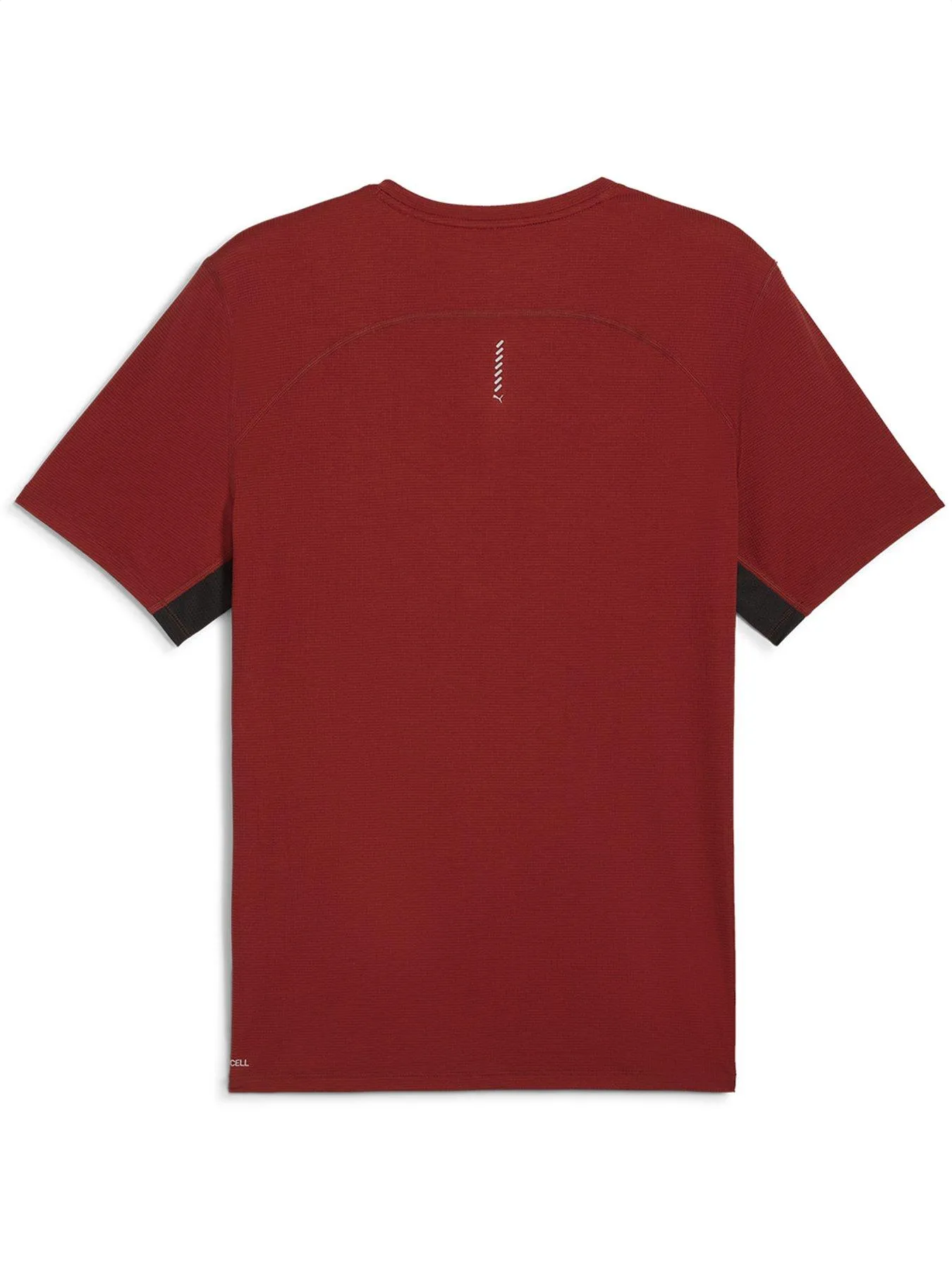 Puma Mens Running Favorite Velocity Tee - Brown